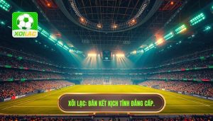 Trận Đấu Bán Kết Kịch Tính: Giải Mã Sức Hút Và Những Cú Sốc
