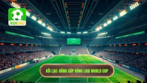 Trận Đấu Vòng Loại World Cup: Toàn Cảnh Cuộc Đua Khốc Liệt Nhất