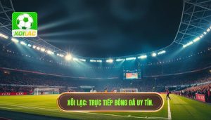 Trận cầu đang đá phút 1–90: Bí quyết soi kèo đỉnh cao tại Xôi Lạc