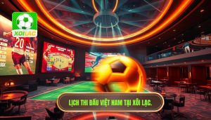Lịch thi đấu đội tuyển Việt Nam
